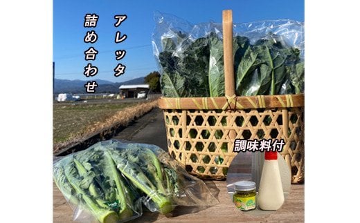 ふるさと納税返礼品に新しい商品を追加しました！