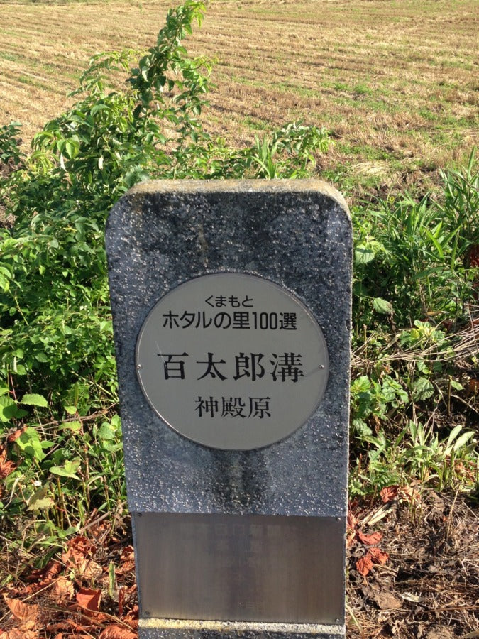 幻想的な光です