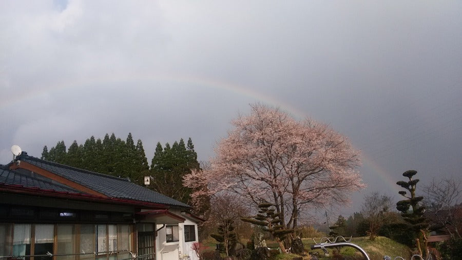 熊本地震復興応援フェア開催しました。