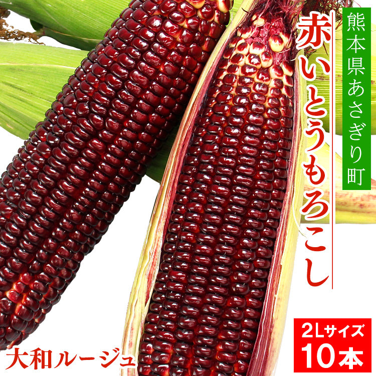 熊本県あさぎり町産の赤いとうもろこし「大和ルージュ」受付中！