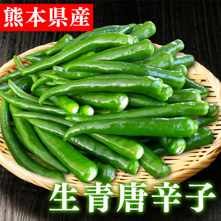 辛口！国産(熊本県産)の生青唐辛子の販売を開始しました。