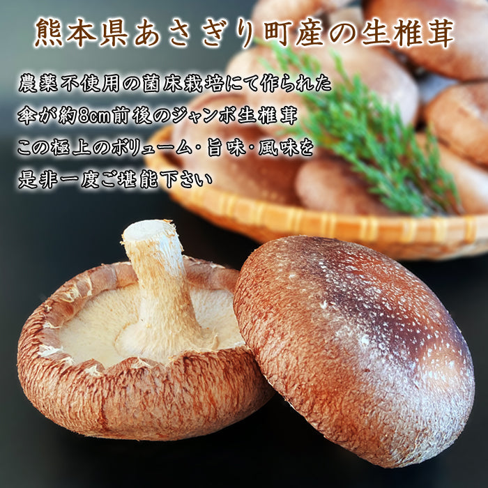 極上のジャンボ生しいたけ