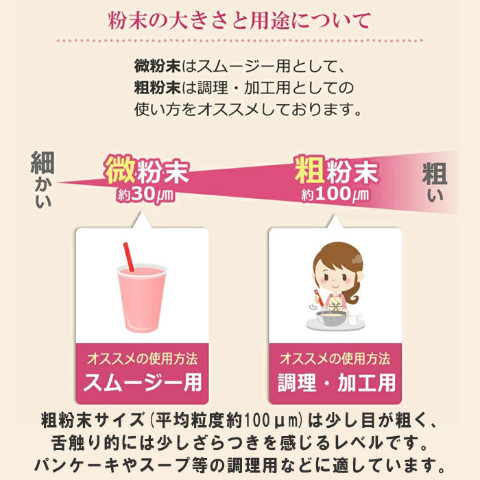 ビーツ パウダー (粗粉末) 100g×1袋 送料無料 熊本県産【ネコポス配送】