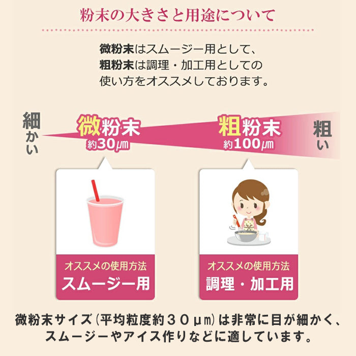 ビーツ パウダー (微粉末) 500g×1袋 熊本県産 送料無料【宅配便配送】
