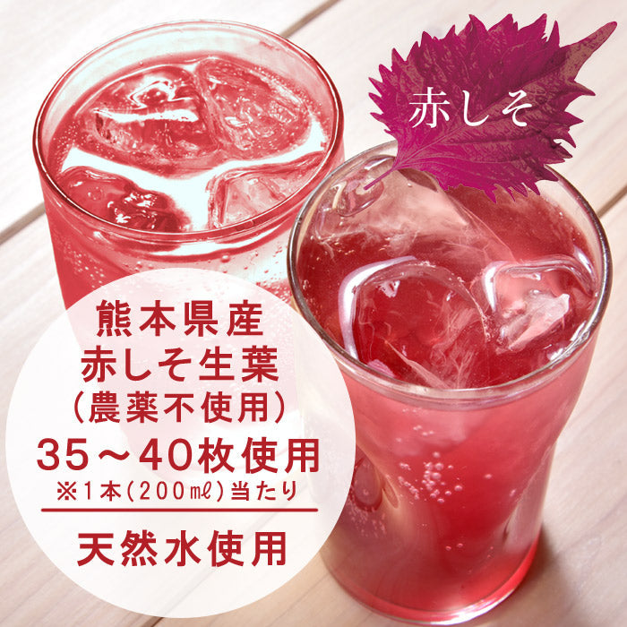 赤 しそドリンク 200ml×1本 ストレート