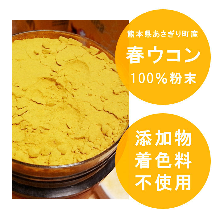 春ウコン 粉末 100g×1個 無添加 無着色 熊本県産【宅配便配送】