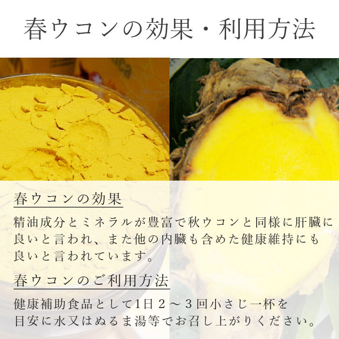 春ウコン 粉末 100g×1個 無添加 無着色 熊本県産【宅配便配送】