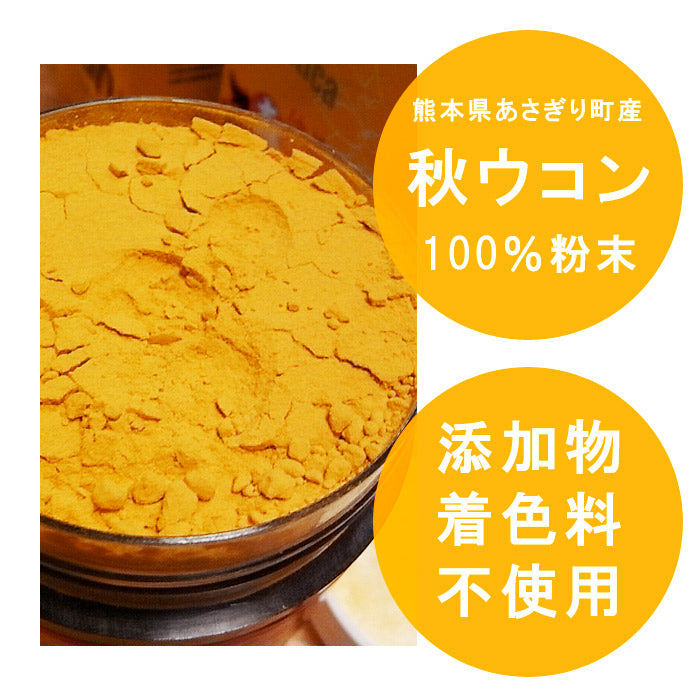 秋ウコン 粉末 100g×1個 無添加 無着色 熊本県産 うこん【宅配便配送】