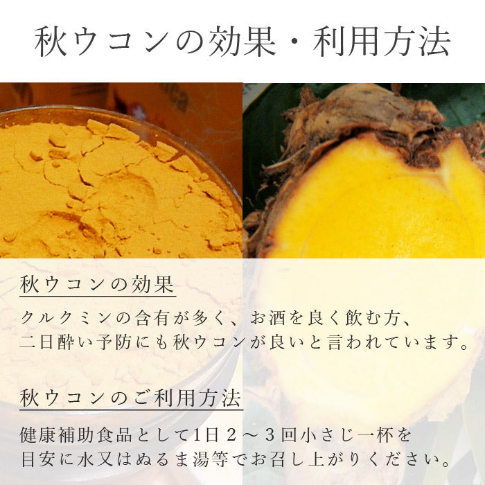 秋ウコン 粉末 100g×1個 無添加 無着色 熊本県産 うこん【宅配便配送】