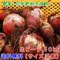 送料無料 熊本県産 生 ビーツ 10kg (サイズ混載)【宅配便配送】【毎週木曜発送】