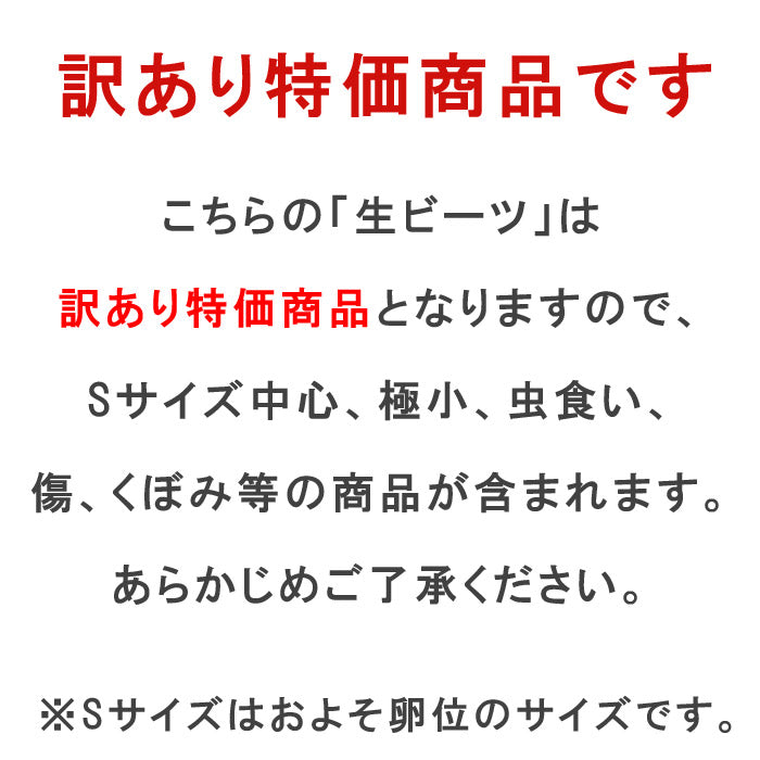 生 ビーツ 5kg (訳あり品：Sサイズ) 熊本県産【毎週木曜発送】【宅配便配送】