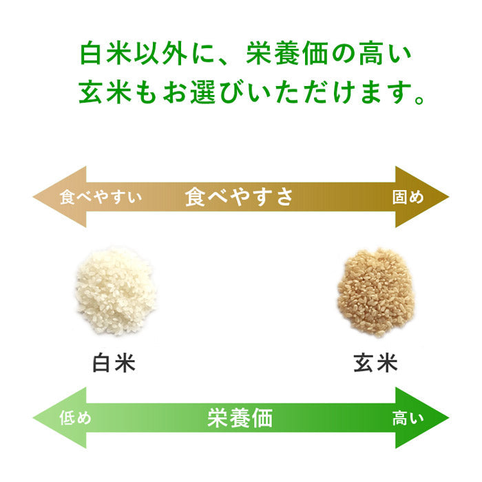 送料無料 令和7年産 特別栽培米 森のくまさん 1kg【ネコポス配送】