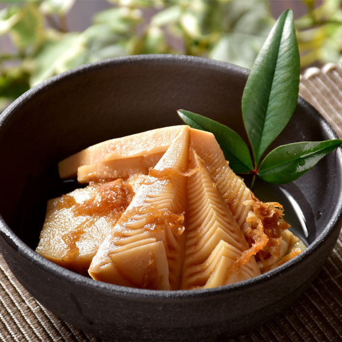 筍の母煮(かかに) 100g 1袋 ～ 20袋 送料無料 熊本県産 土佐煮