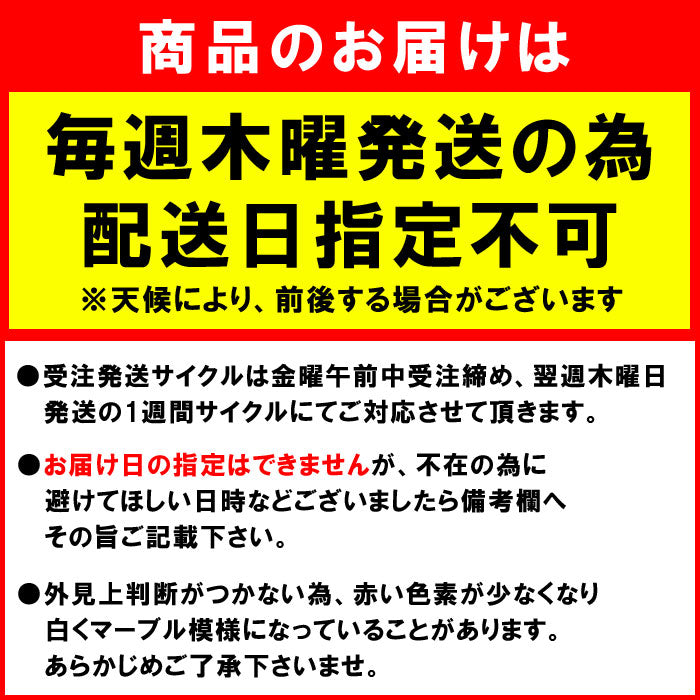 熊本県産 生 ビーツ 5kg (訳あり品)【宅配便配送】【毎週木曜発送】
