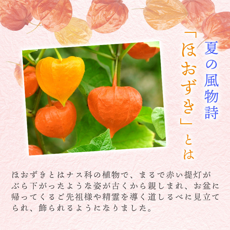 ほおずき 5本(1束) 送料無料 生花 鬼灯 【入金確認後7月下旬〜8月上旬発送】