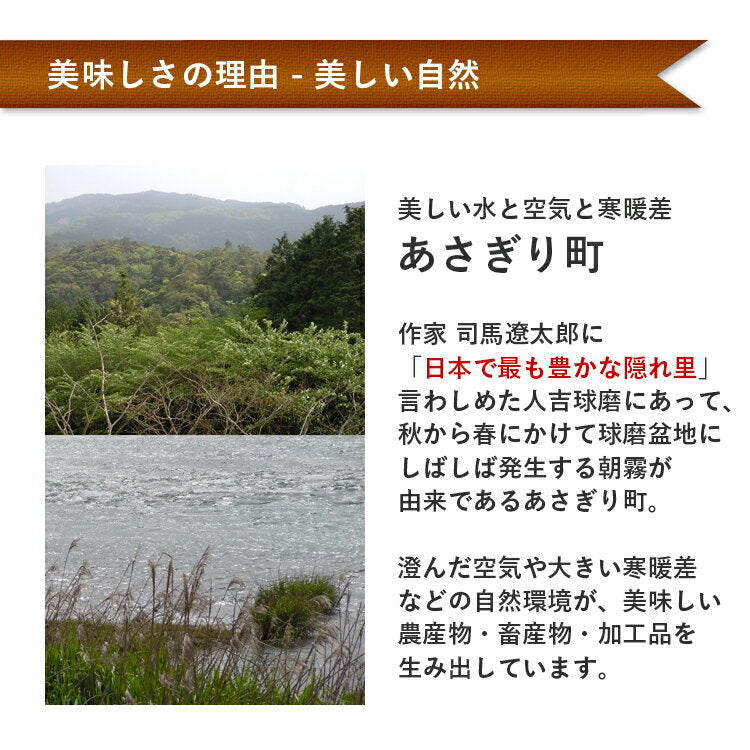 ご汁の素 粗粒 150g 1袋 ～ 15袋 送料無料 呉汁 熊本県産大豆