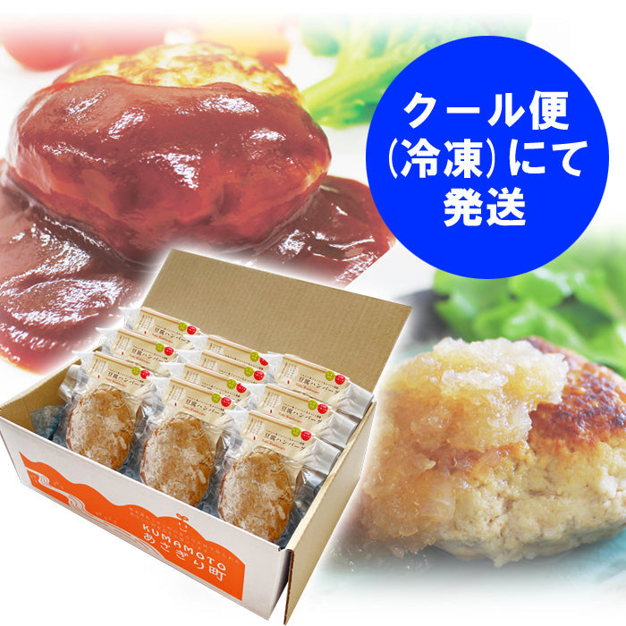 送料無料 豆腐 ハンバーグ セット 100g×10個(1,000g)【宅配便配送】