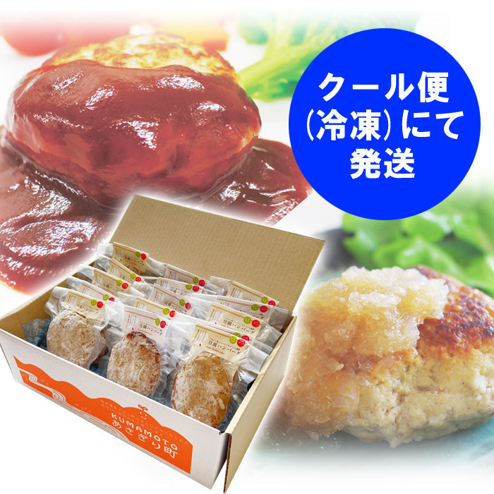 送料無料 豆腐 ハンバーグ セット 100g×15個(1,500g)【宅配便配送】