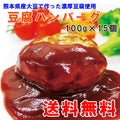 送料無料 豆腐 ハンバーグ セット 100g×15個(1,500g)【宅配便配送】