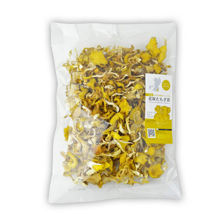 乾燥 花咲 たもぎ茸 100g×1袋 送料無料 熊本県産【宅配便配送】