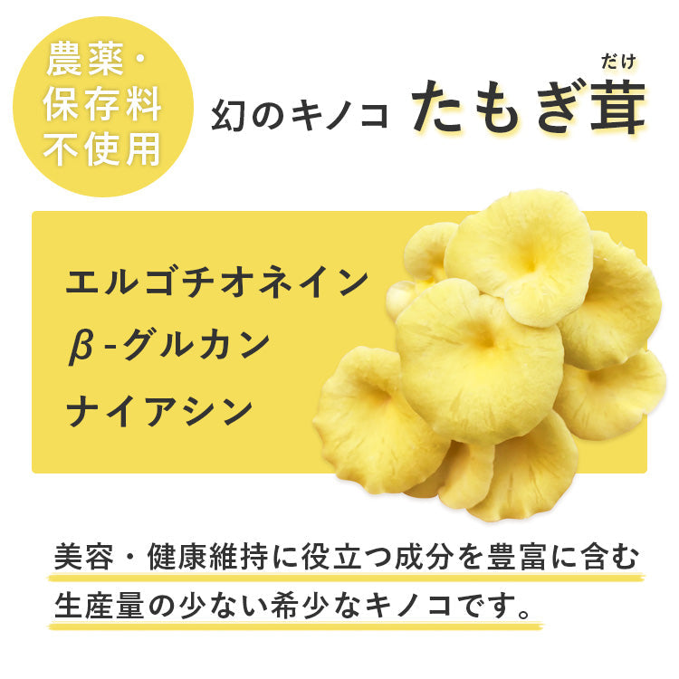 粉末 花咲 たもぎ茸 70g×3袋  送料無料 熊本県産【宅配便配送】