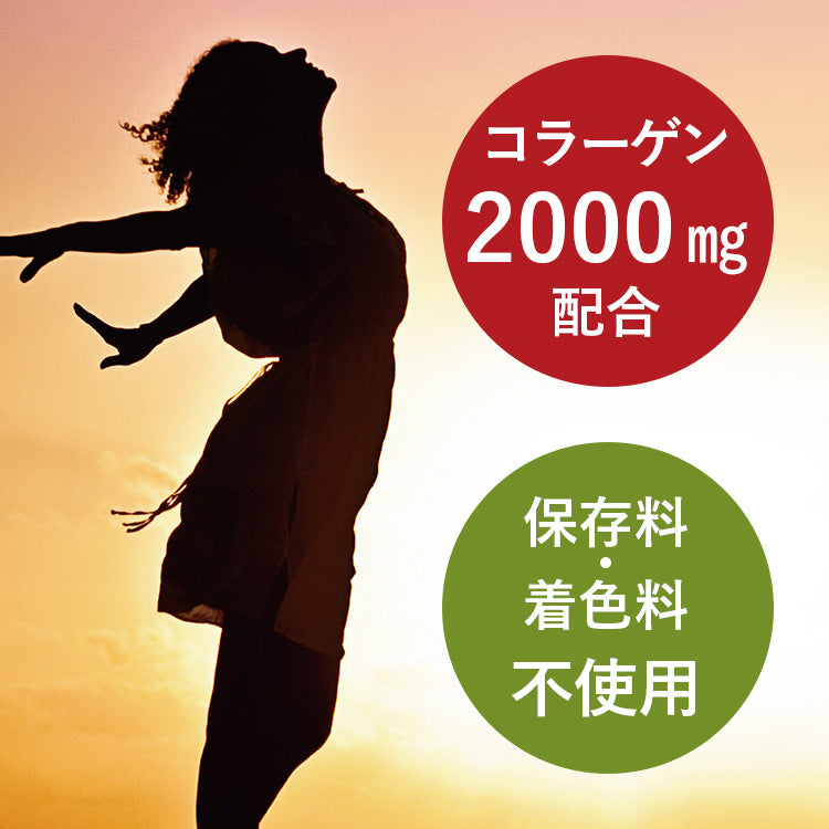 送料無料 しそドリンク(濃縮) 500ml×2本 セット ギフト用【宅配便配送】