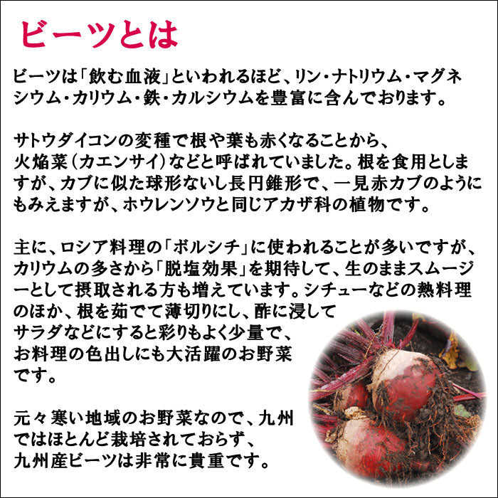 ビーツとほうれん草の炊き込みごはんの素 2合用(125g) 1袋 ～ 20袋 送料無料