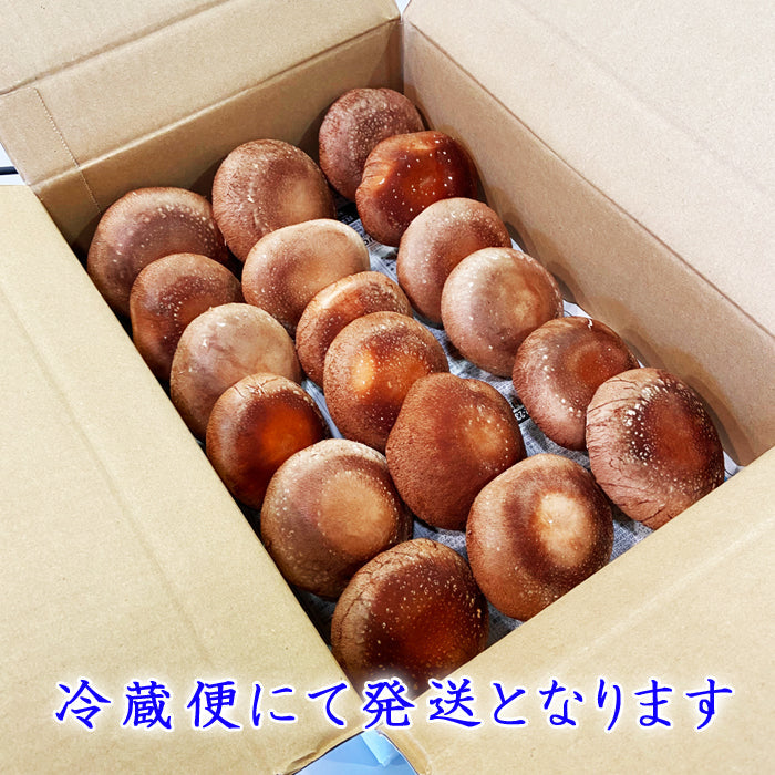 生 しいたけ 大サイズ 約1g(約18〜20個前後) 【宅配便配送】
