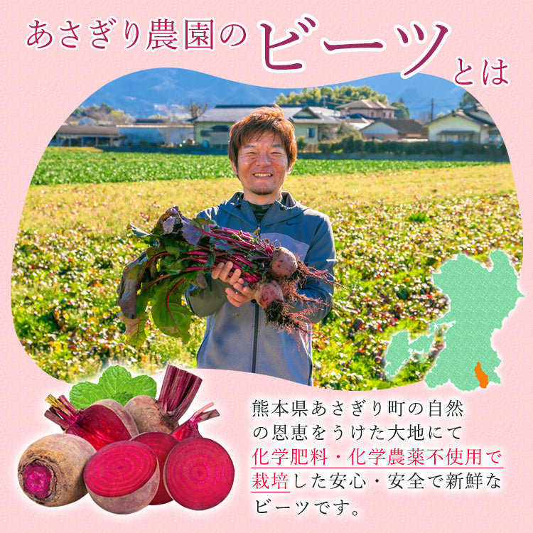 ビーツ パウダー 粉末 50g 1袋 ～ 3袋 送料無料 無添加 無着色 熊本県産【ネコポス配送】