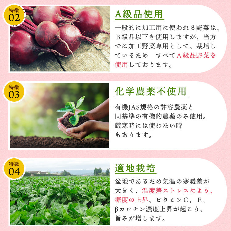 ビーツ パウダー 粉末 50g 1袋 ～ 3袋 送料無料 無添加 無着色 熊本県産【ネコポス配送】