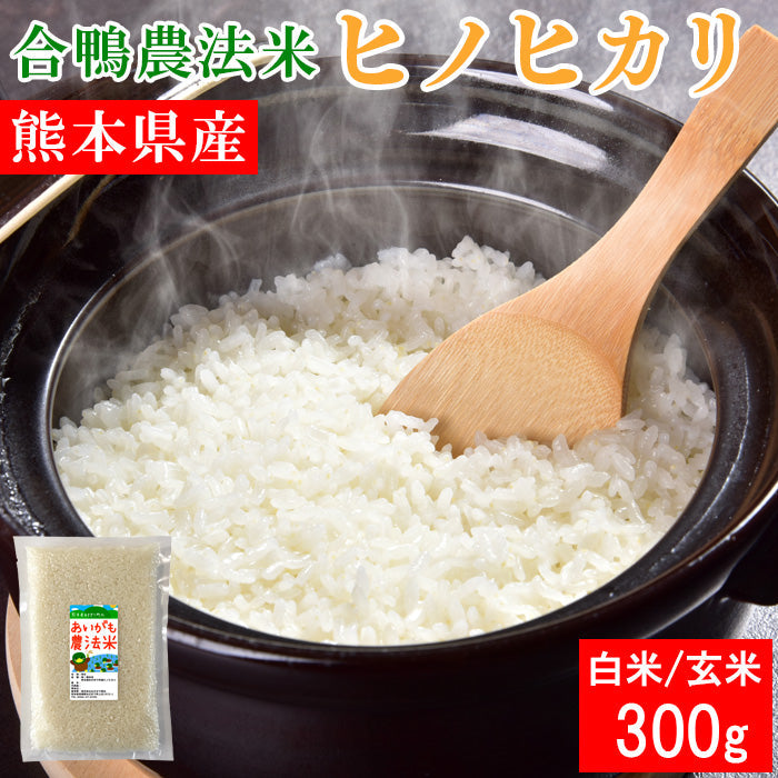 送料無料 令和7年産 合鴨農法米 ヒノヒカリ 300g×1袋【ネコポス配送】