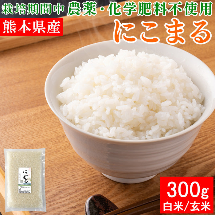 送料無料 令和7年産 熊本県産 にこまる 300g×1袋 米【ネコポス配送】