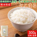 送料無料 令和7年産 熊本県産 にこまる 300g×1袋 米【ネコポス配送】
