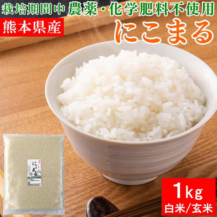 送料無料 令和7年産 熊本県産 にこまる 1kg×1袋 お米【ネコポス配送】