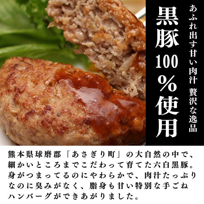 送料無料 球磨の黒豚 ハンバーグ 140g×6個(840g)【宅配便配送】