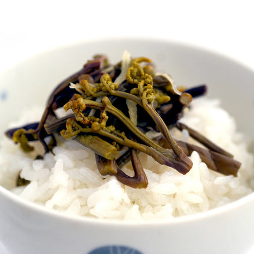 わらびの酢漬け 100g×5袋 (500g) 熊本県産蕨使用【宅配便配送】