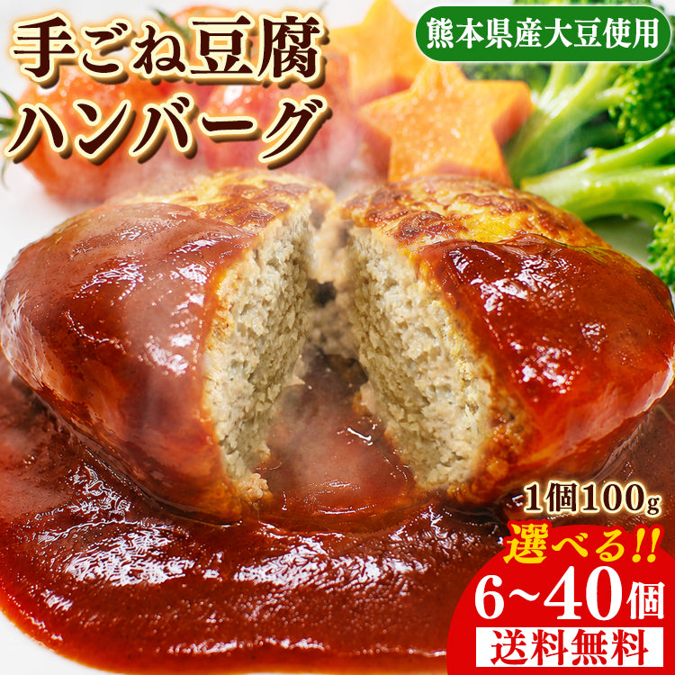 豆腐ハンバーグ セット 6個 ～ 40個 (600g～4kg) 送料無料 国産【宅配便配送】