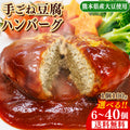 豆腐ハンバーグ セット 6個 ～ 40個 (600g～4kg) 送料無料 国産【宅配便配送】