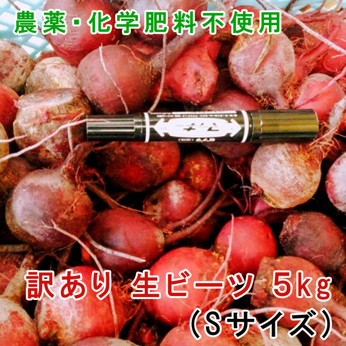 【無農薬ビーツ】5kg