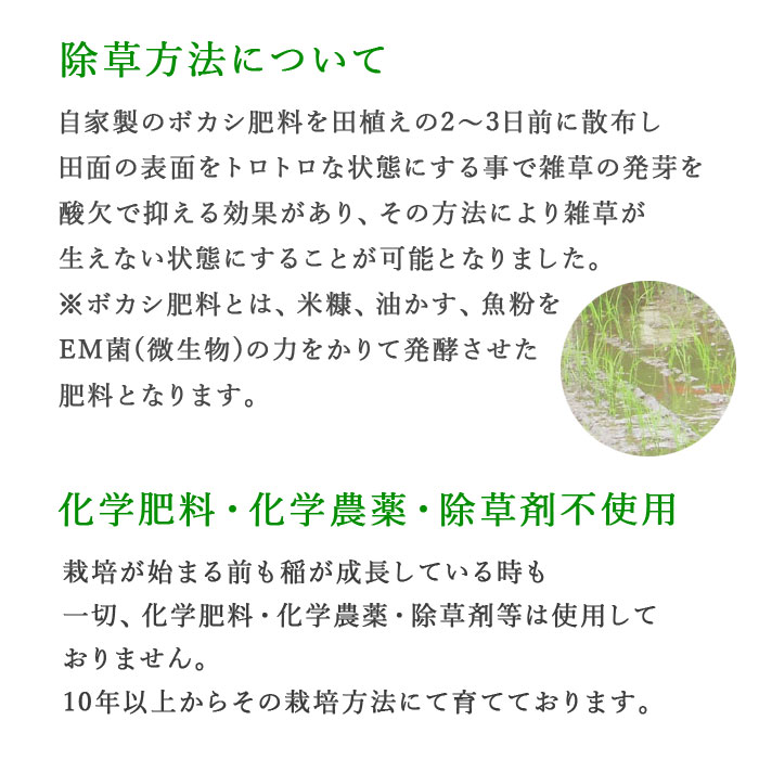 2023年朝日米10kg白米 たけ爺ブランド米 栽培期間中無化学肥料・
