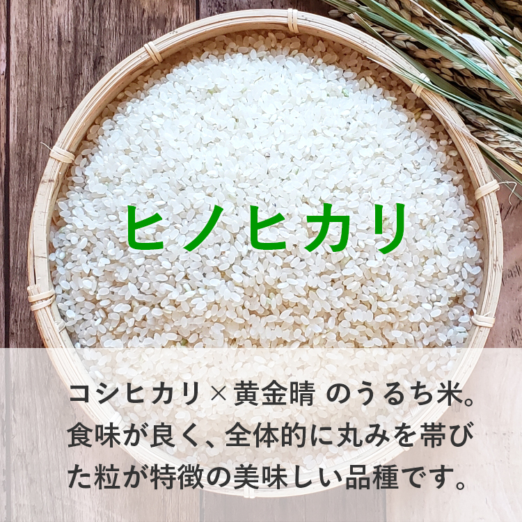 送料無料】令和4年産 合鴨農法米ヒノヒカリ 白米18kg(玄米20kg)【栽培