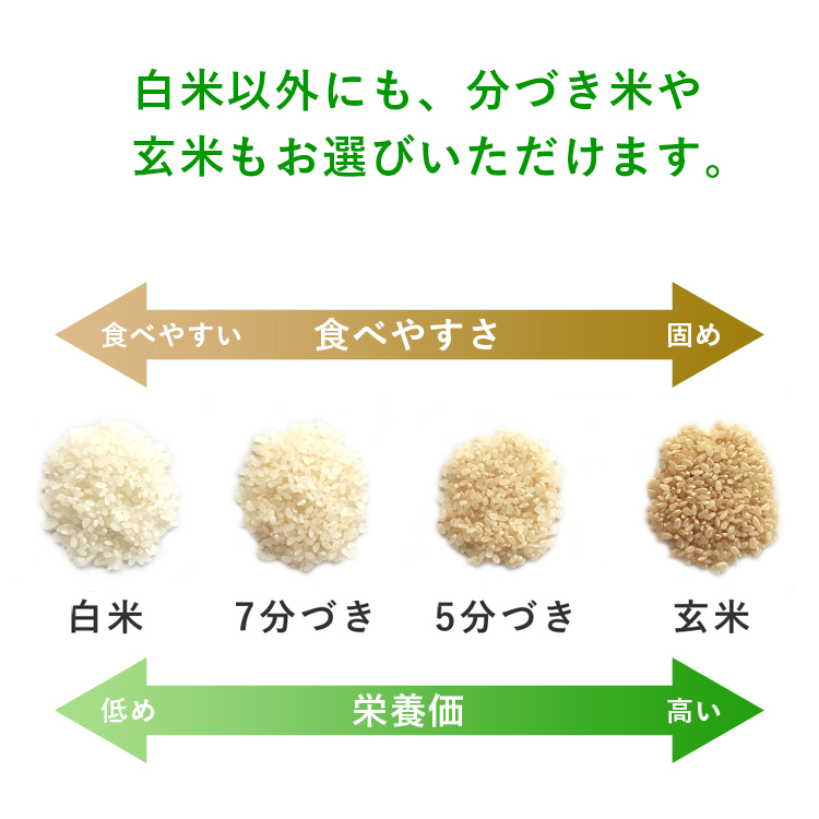 送料無料 令和6年産 合鴨農法米 ヒノヒカリ 5kg 選べる精米歩合