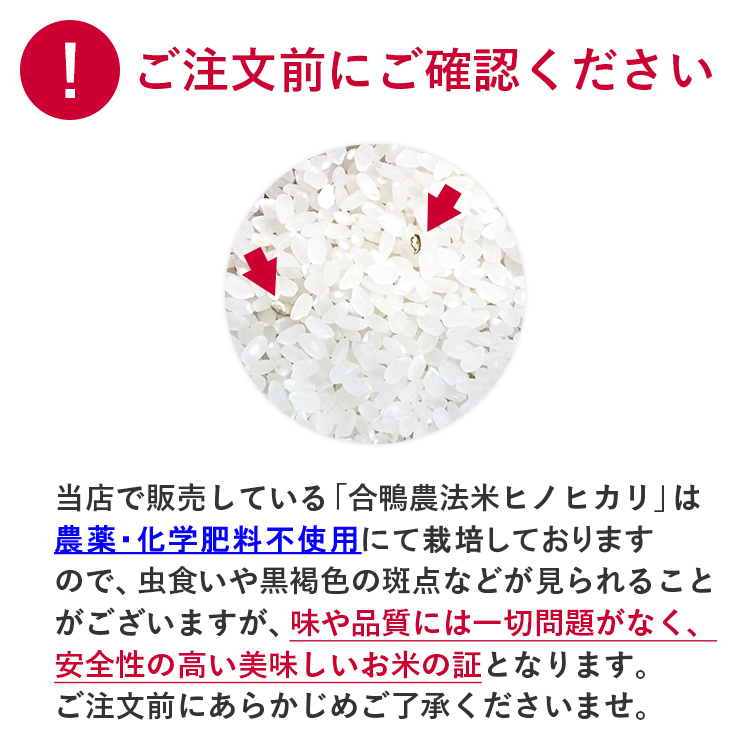 送料無料 令和6年産 合鴨農法米 ヒノヒカリ 5kg 選べる精米歩合